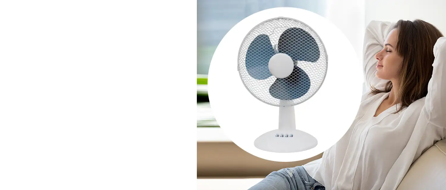 Le ventilateur Franelec à prix cassé !