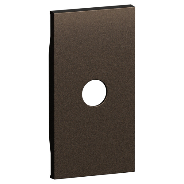 Enjoliveur prise TV 2 modules Bronze - Living Now - Arnould - BTKB08M2