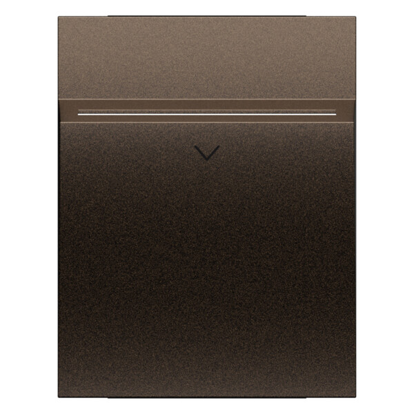Enjoliveur lecteur de badge 2 modules - Bronze - Living Now - Arnould - BTKB22M2