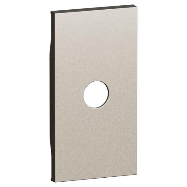 Enjoliveur prise TV 2 modules Champagne - Living Now - Arnould - BTKC08M2