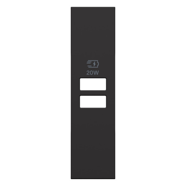 Enjoliveur Living Now pour double chargeur USB - 1 module - Noir - Arnould - BTKG13PD
