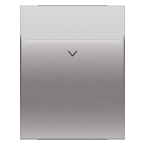 Enjoliveur lecteur de badge 2 modules - Acier - Living Now - Arnould - BTKS22M2