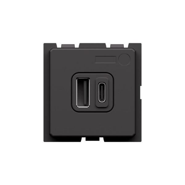Prise USB Type A+C Living Now - Power Delivery 20W - 2 modules - Noir - Arnould - BTK4292AC