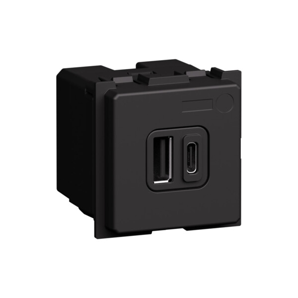 Prise USB Type A+C Living Now - Power Delivery 20W - 2 modules - Noir - Arnould - BTK4292AC