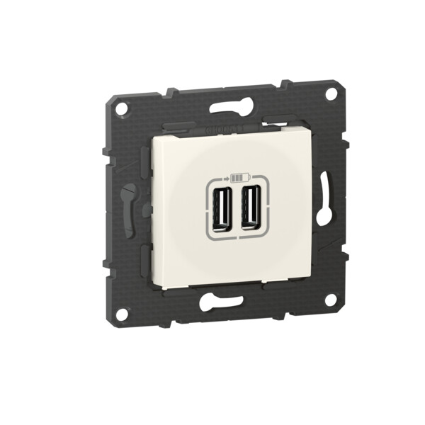 Bticino altège  prise double chargeur usb - 2400 ma - neige - compo - Bticino Cofrel - BTAL30DD