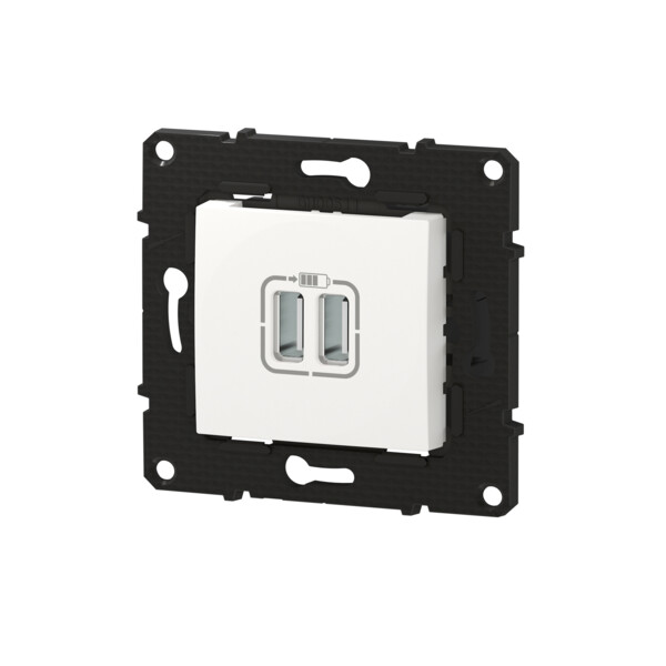 Bticino altège  prise double chargeur usb - 2400 ma - neige - compo - Bticino Cofrel - BTAL30DD