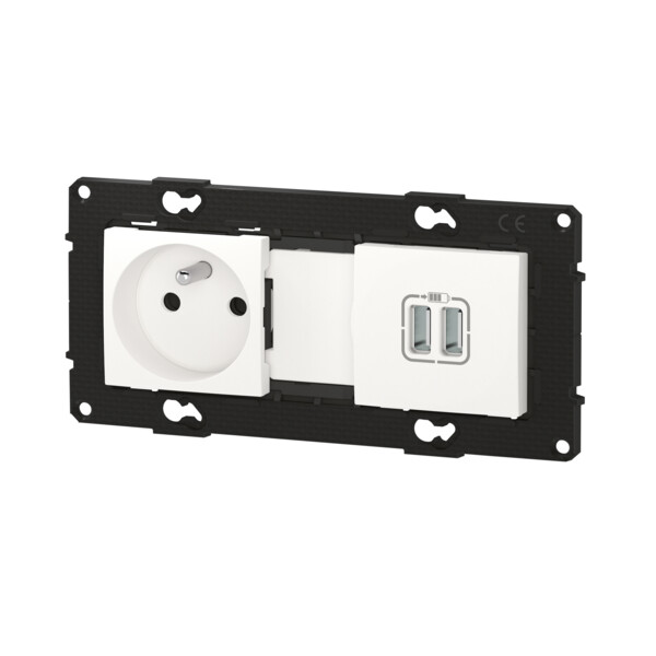 Bticino altège  prise de courant 2p+t + prise double chargeur usb - 2400 ma 6 - neige - compo - Bticino Cofrel - BTAL31DD