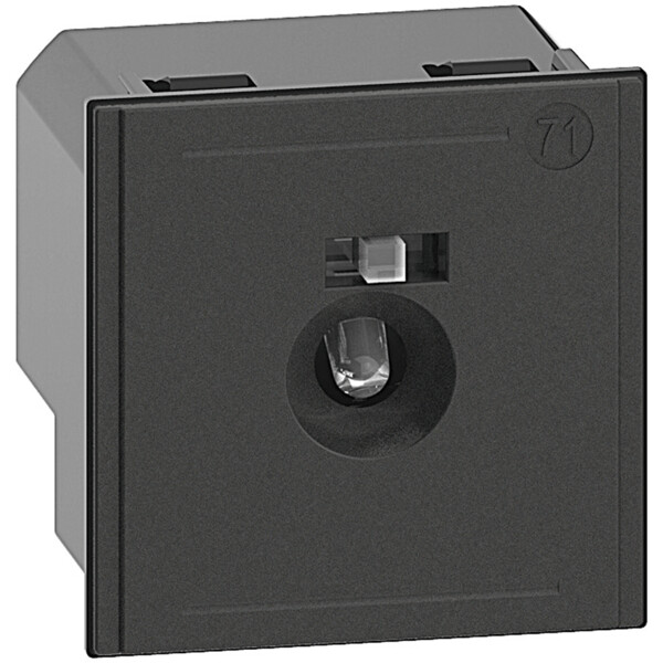 Voyant à LED pour balisage de plinthe Living Now avec interrupteur marche arrêt - 2 modules - Bticino Cofrel - BTK4382