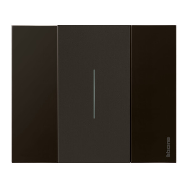 Enjoliveur Living Now pour commande d'éclairage standard ou lumineuse 2 modules - noir mat - Bticino Cofrel - BTKG01M2