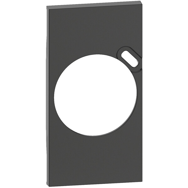 Plastron de finition Living Now pour prise Surface avec chargeur USB Type-C - noir mat - Bticino Cofrel - BTKG62
