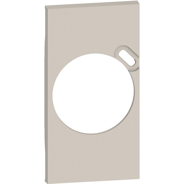 Plastron de finition Living Now pour prise Surface avec chargeur USB Type-C - sable - Bticino Cofrel - BTKM62