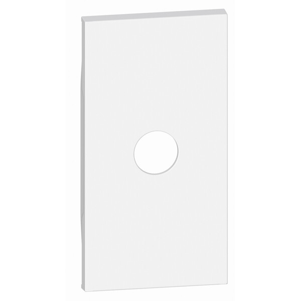 Enjoliveur Living Now BTicino Blanc – pour Prises TV Simple Mâle et Type F à Visser – 2 Modules - Bticino Cofrel - BTKW08M2