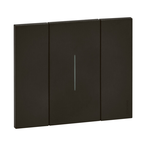Plaque de finition Living Now Collection Les Noirs matière polymère 2 modules - finition Noir - Bticino Cofrel - BTKA4802KG