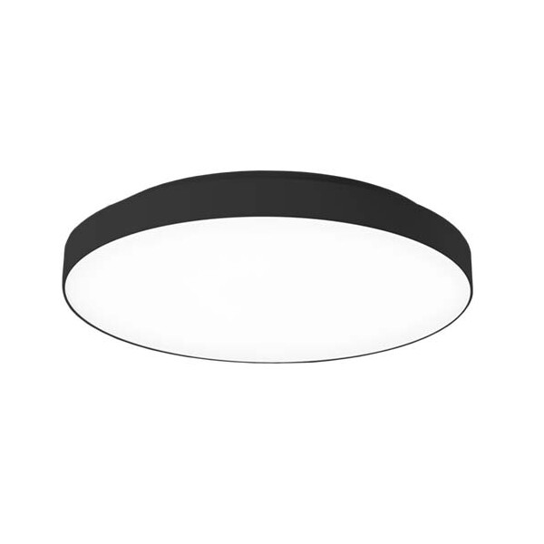 Disc