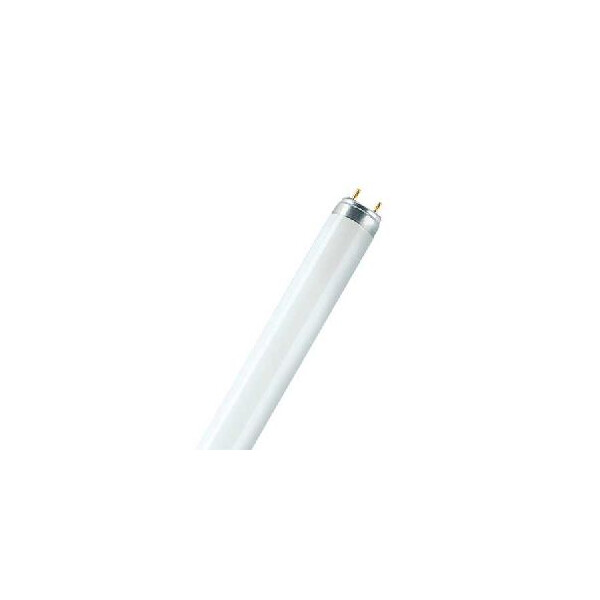 Tubes fluorescents t8 lumilux