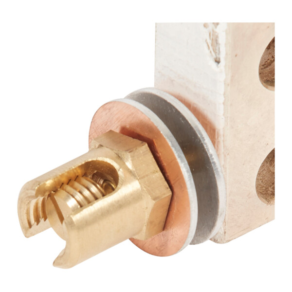 Borne equipotentielle blf