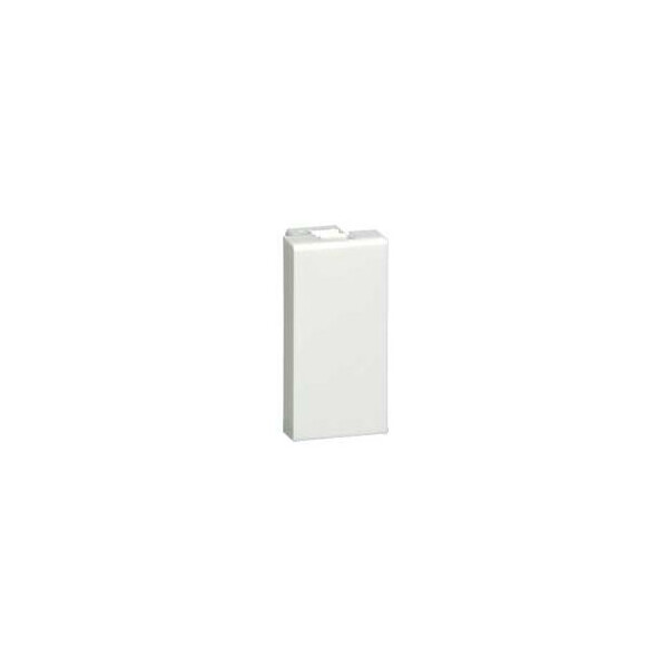 1 module