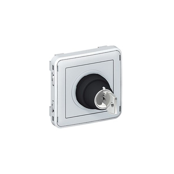 Interrupteurs à clé 3 a - 250 v ronis n° 455