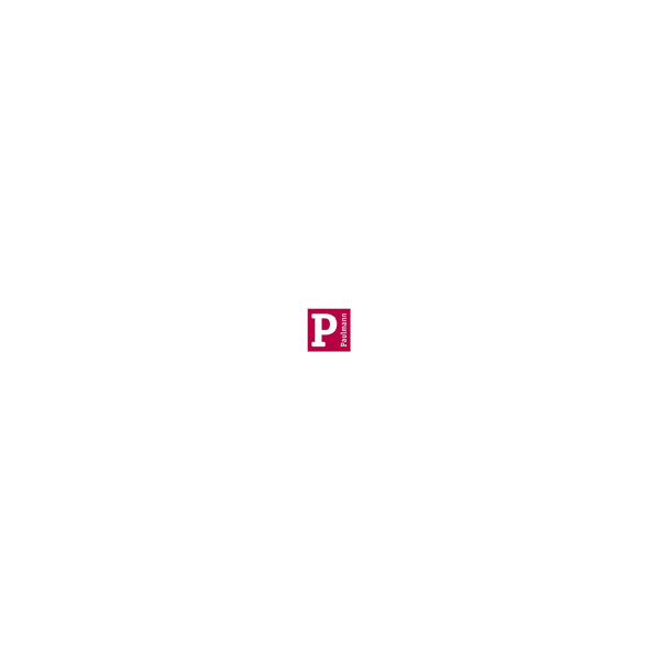 Paulmann
