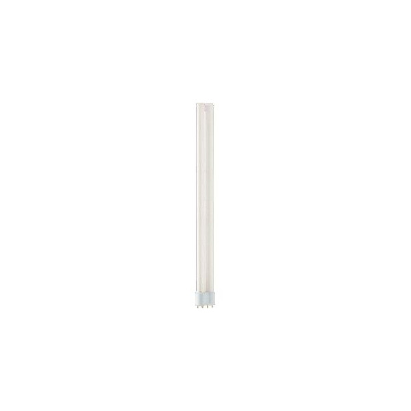 MASTER PL-L 4 Broches Polar