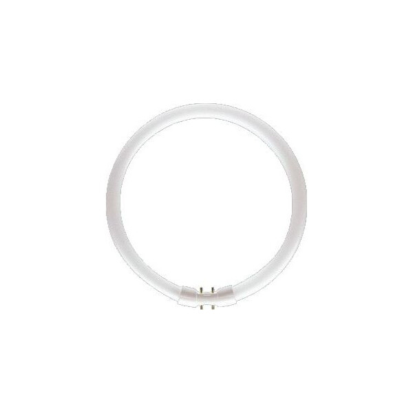MASTER TL5 Circulaire