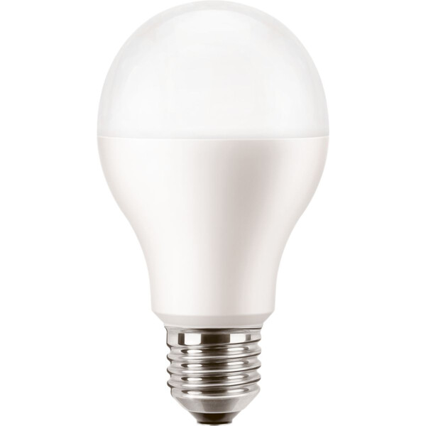 Bulbs - b-brand & pl