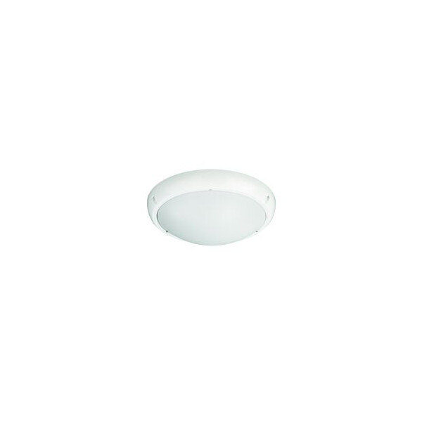 Extérieur Décoratif