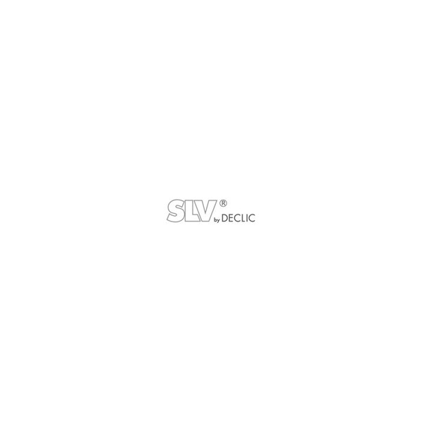 SLV