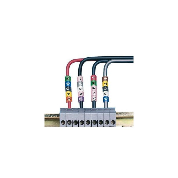Bagues plio-v-markers