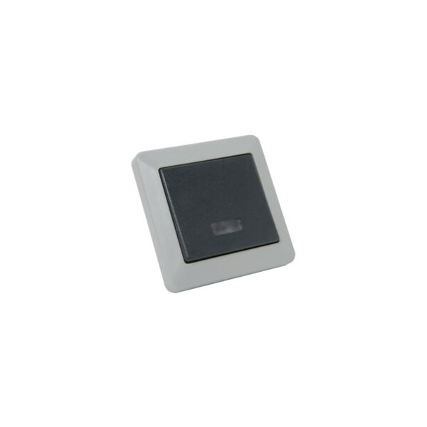 Bouton Poussoir Gris avec voyant Lumineux OPALINE DEBFLEX - Debflex - 735170