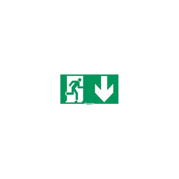 Etiquette signalisation réglementaire pour BAES - sortie de secours porte en bas - Legrand - 061000