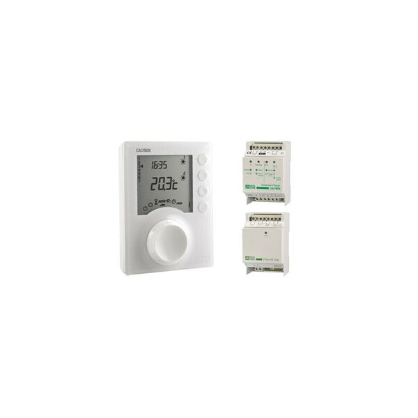 Delta Dore Calybox 120 WT Gestionnaire d'énergie 2 zones pour chauffage électrique - Delta Dore - 6050431