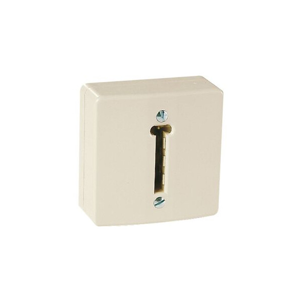 CONJONCTEUR PTT SAILLIE 6 CTS - Ebenoid - 032738