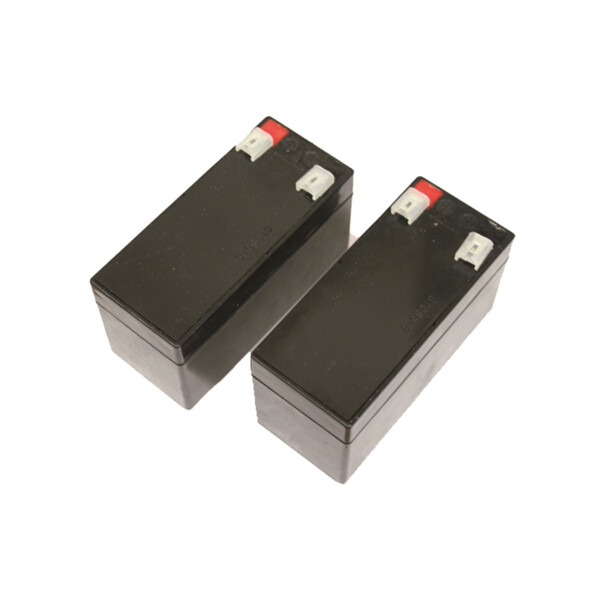 Kit Batteries 24 V pour ONDA 424/624 RAIDER et SKIPPER Evicom - Evicom - P41702/003