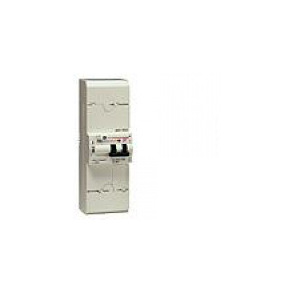 Disjoncteur de branchement EDF type 2P 30-45-60A S 500mA