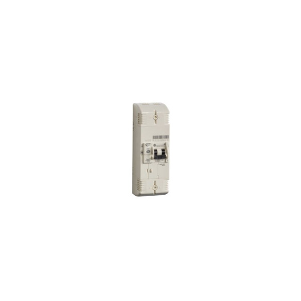 General Electric Disjoncteur de branchement EDF type 2P 30-45-60 A 500 mA Sélectif - General Electric - 585437