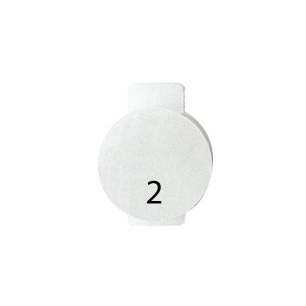 Plaquet deux - Gewiss - GW20562