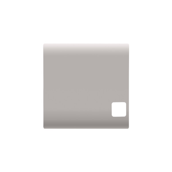 Replaceable button key for push-button panel - to be completed with lens - 2 modules - natural beige - chorus - Gewiss - GW13552