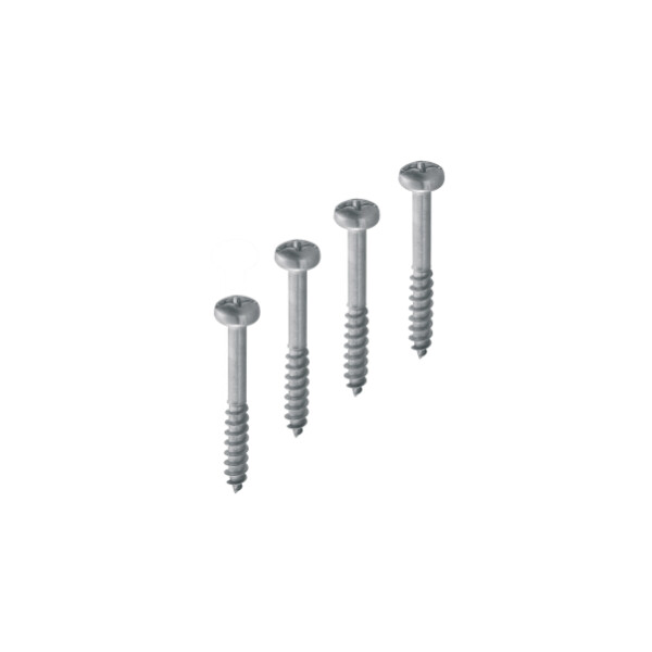 Lot 4 vis auto-taraudeuses acier PZ Gewiss pour chambre d’accès 200x200x200 / 300x300x300 mm - Gewiss - DX59450