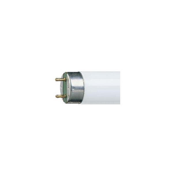 Tube Fluorescent GU13 T8 Ledvance Lumilux rouge 36W 60 3000K 2400lm 1200mm  - Ledvance - 024240