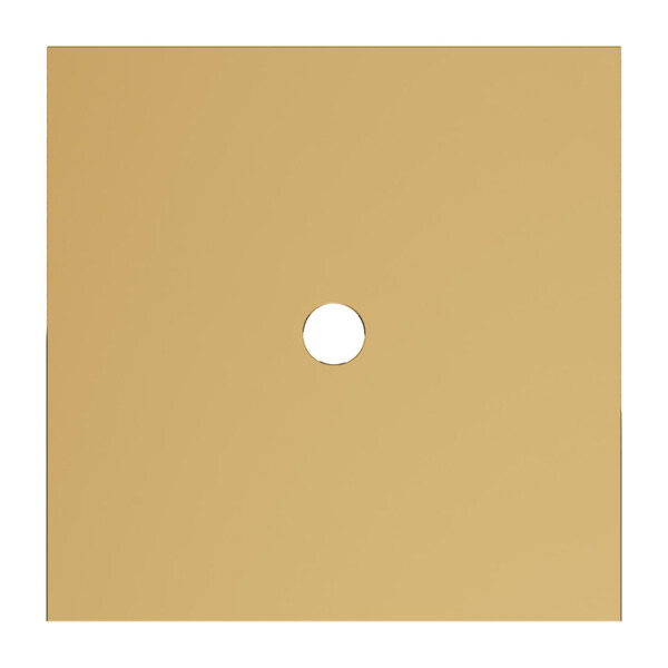 Plaque 1 poste bouton rond Epure acier brossé Art d'Arnould - Legrand - ARP67410