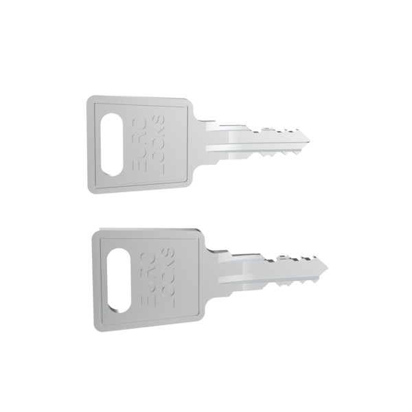 Lot de 2 Clés Code FH167 RAL 7016 pour Porte et Panneaux Latéraux Baie Linkeo Legrand - Legrand - 981079