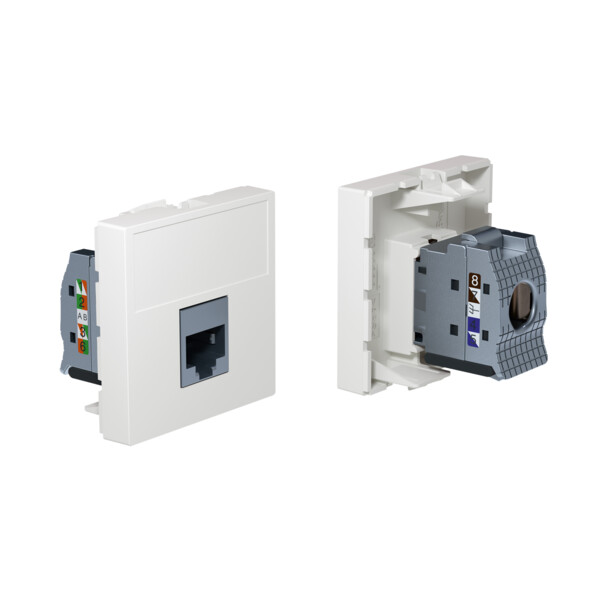 Linkeo C - Plastron 2 modules 1P + RJ45 Cat.6A STP - Legrand - 632937