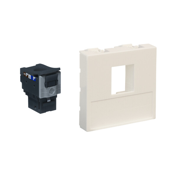 Linkeo C - Plastron 2 modules 1P + RJ45 Cat.6 FTP - Legrand - 632938
