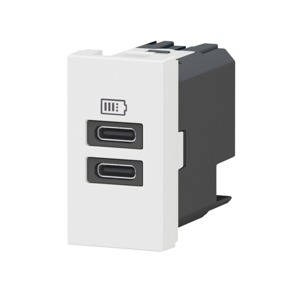 Chargeur 2 usb type-c mosaic - 2 modules blanc pour support lcm - Legrand - 077680L