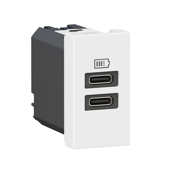 Chargeur 2 usb type-c mosaic - 2 modules blanc pour support lcm - Legrand - 077680L