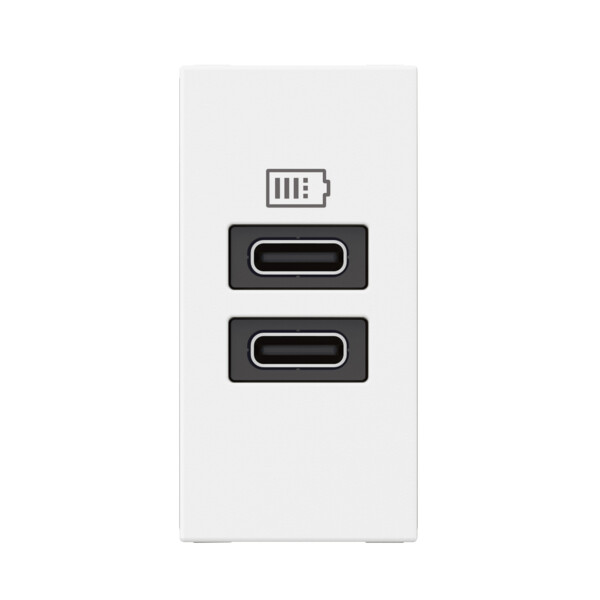 Chargeur 2 usb type-c mosaic - 2 modules blanc pour support lcm - Legrand - 077680L