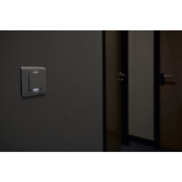 Plaque de Finition Blanc pour 2 Modules Mosaic Legrand EU (NF 078802L) - Legrand - 277802L