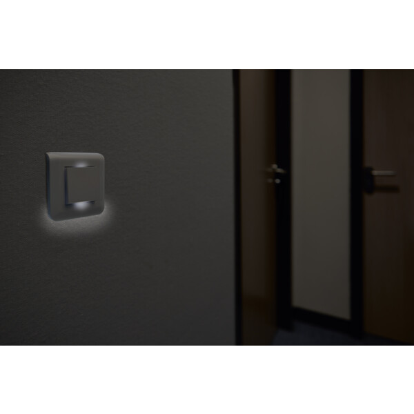 Plaque de Finition Blanc pour 2 Modules Mosaic Legrand EU (NF 078802L) - Legrand - 277802L