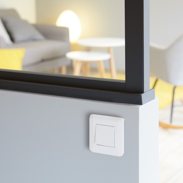 Plaque de Finition Blanc pour 2 Modules Mosaic Legrand EU (NF 078802L) - Legrand - 277802L
